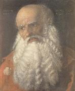 Albrecht Durer Head of the Apostle james oil painting artist